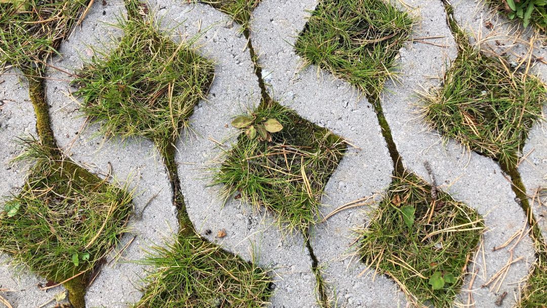 Betongbelegningsblokker med sekskantede hull skaper det perfekte grunnlaget for et regnbed, hvor gress og små planter trives.