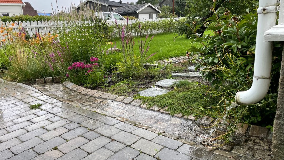Regnvann renner fra et hvitt avløpsrør ut på en brosteinsbelagt sti, deretter inn i regnbedet omkranset av en hage med blomster og gress. Flere hus er synlige i bakgrunnen.