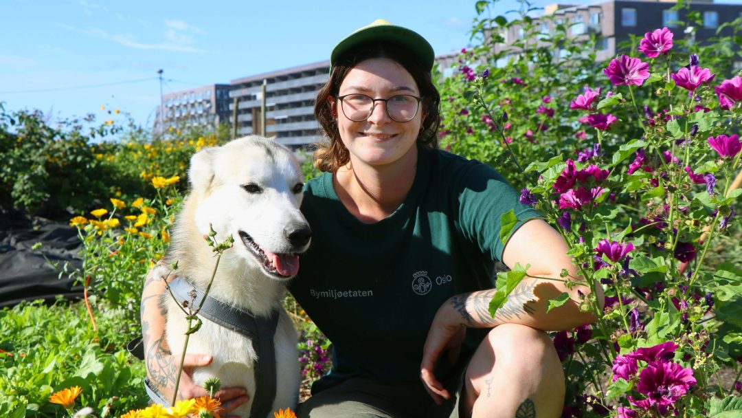 En person med briller og lue huker seg ved siden av en hund i en livlig blomster- og grønnsakshage, med bygninger i bakgrunnen.