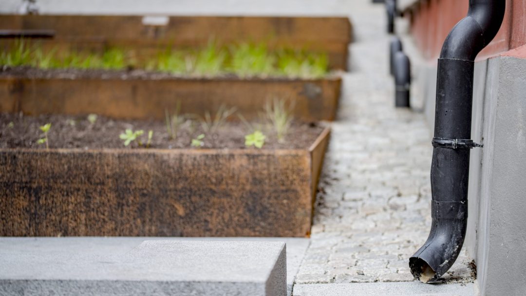 Et svart avløpsrør er festet til en bygning ved siden av en asfaltert gangvei, noe som antyder et element av gjennomtenkt design. Hevede hagebed med jord og små planter i bakgrunnen fremhever tilpasningstemaer, omtrent som de man finner i en klimatilpasningsrapport.