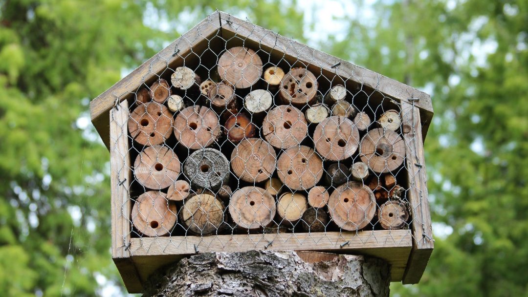 Et tre, pollinatorvennlig insekthotell er montert på en trestamme, fylt med sylindriske trestykker og omgitt av netting, satt mot et bakteppe av uskarpt grønt løvverk.