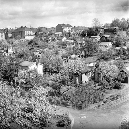 Gå til Hvor var byens første kolonihage?