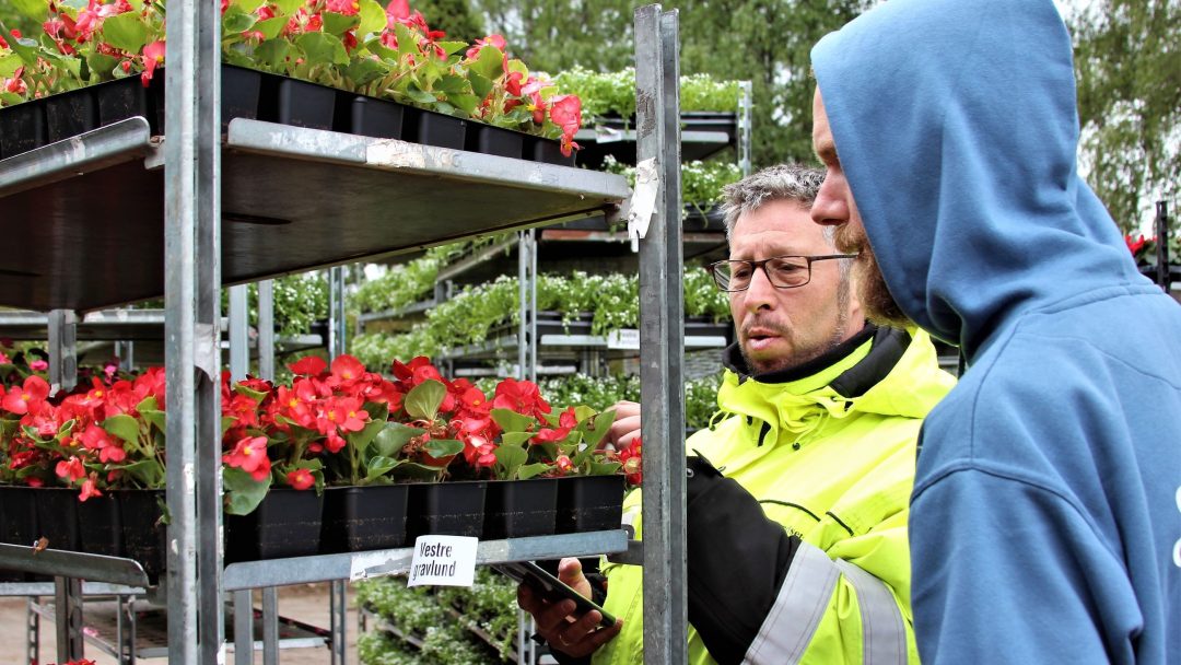 To personer i friluftsklær står ved siden av metallhyller og holder brett med pollinatorvennlige røde blomster og undersøker plantene. En person holder en liten enhet. Trær er synlige i bakgrunnen.