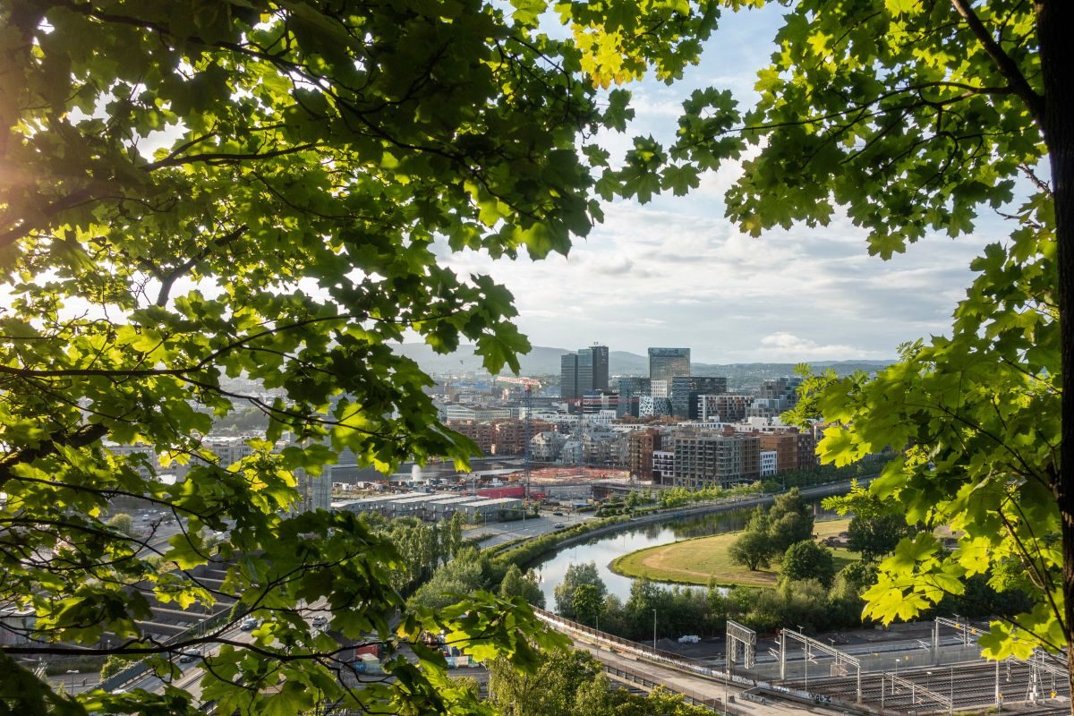 Bybilde innrammet av grønne blader, med en elv som slynger seg gjennom bygninger under en delvis overskyet himmel.