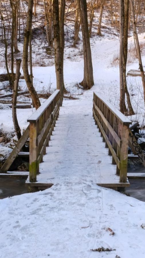 En smal trebro, en skjult Oslotips-perle, dekket av snø krysser en bekk i det skogkledde området med nakne trær.