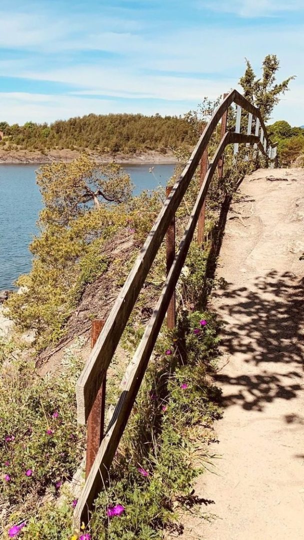 En grussti med et trerekkverk slynger seg langs åssiden, omkranset av grønne busker og lilla blomster. Det gir en rolig utsikt over det stille vannet, som reflekterer den blå himmelen nær populære badeplasser.