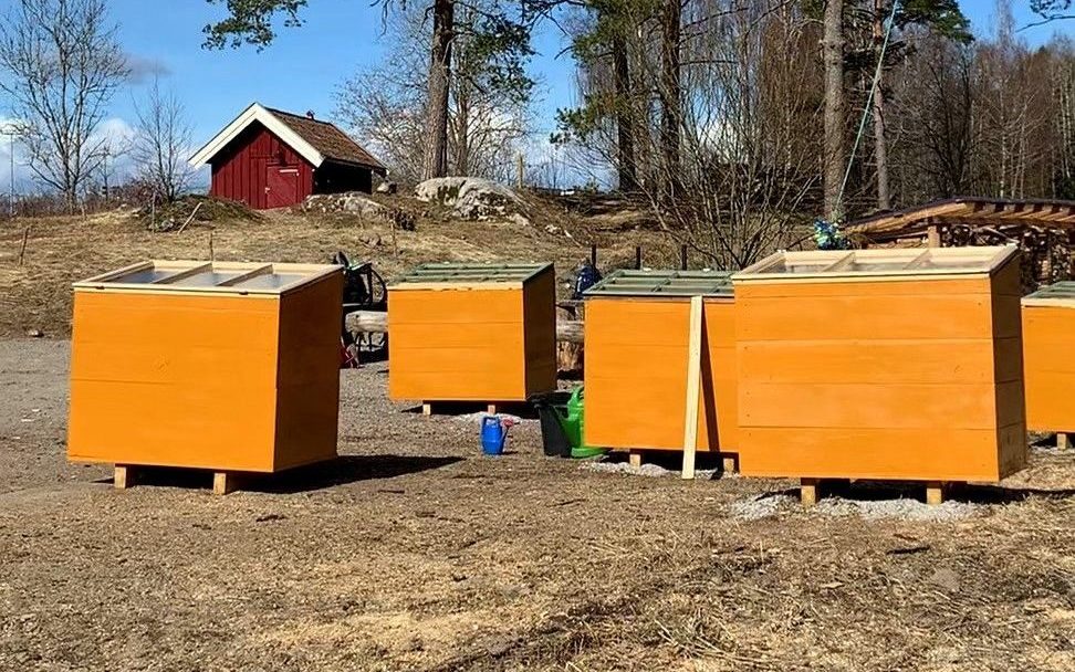 Fire oransje trekasser, perfekt for dyrking, er plassert utendørs på et jordområde med trær og en liten rød hytte i bakgrunnen.