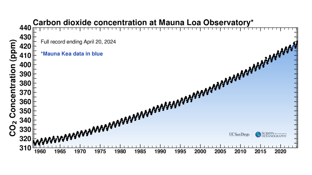 Graf som viser en jevn økning i CO2-konsentrasjonen ved Mauna Loa-observatoriet fra 1960 til 2024. Verdiene øker fra ca. 310 ppm til over 410 ppm. Blå skyggelegging representerer Mauna Kea-data.