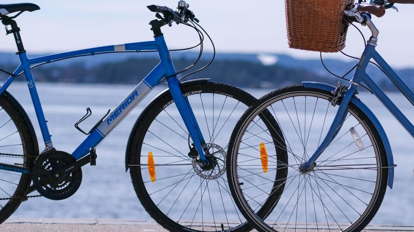 To blå sykler hviler på en sti ved vannet, nypusset fra en sykkelvask. Den venstre sykkelen har en sporty ramme, mens den høyre har en sjarmerende flettet kurv på styret. I bakgrunnen strekker vann seg mot fjerntliggende land.