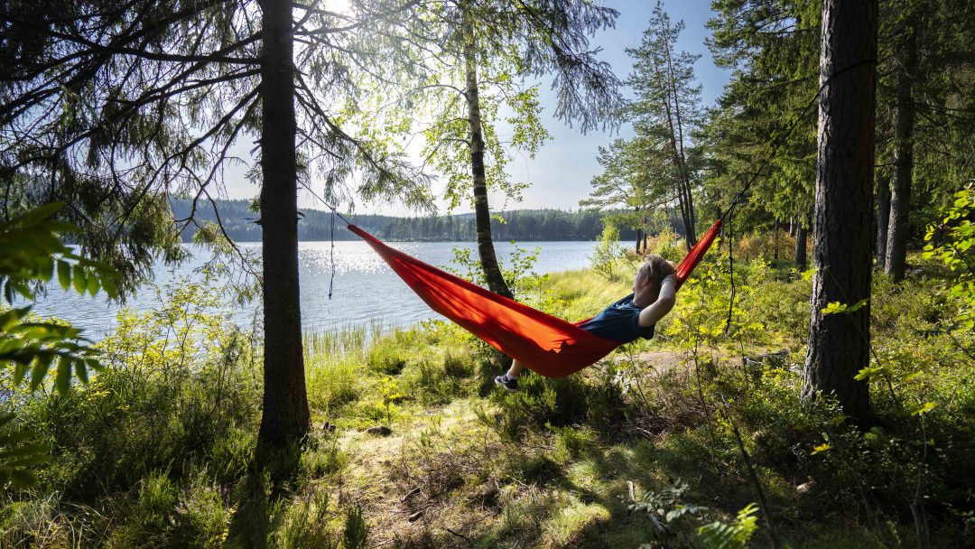 En person slapper av i en knallrød hengekøye, bundet mellom to trær som en telt strukket bredt, med utsikt over en rolig innsjø omgitt av frodig grønt under den klare blå himmelen.