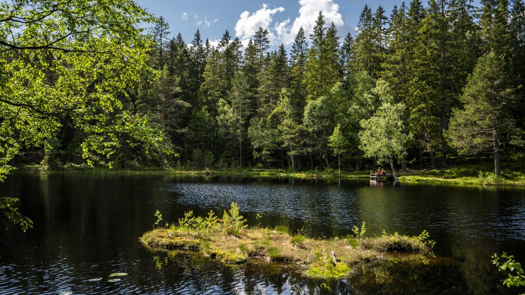 En rolig skog omkranser en rolig innsjø, med en solstråle som kaster en glød på den lille gresskledde øya i forgrunnen under en delvis overskyet himmel.