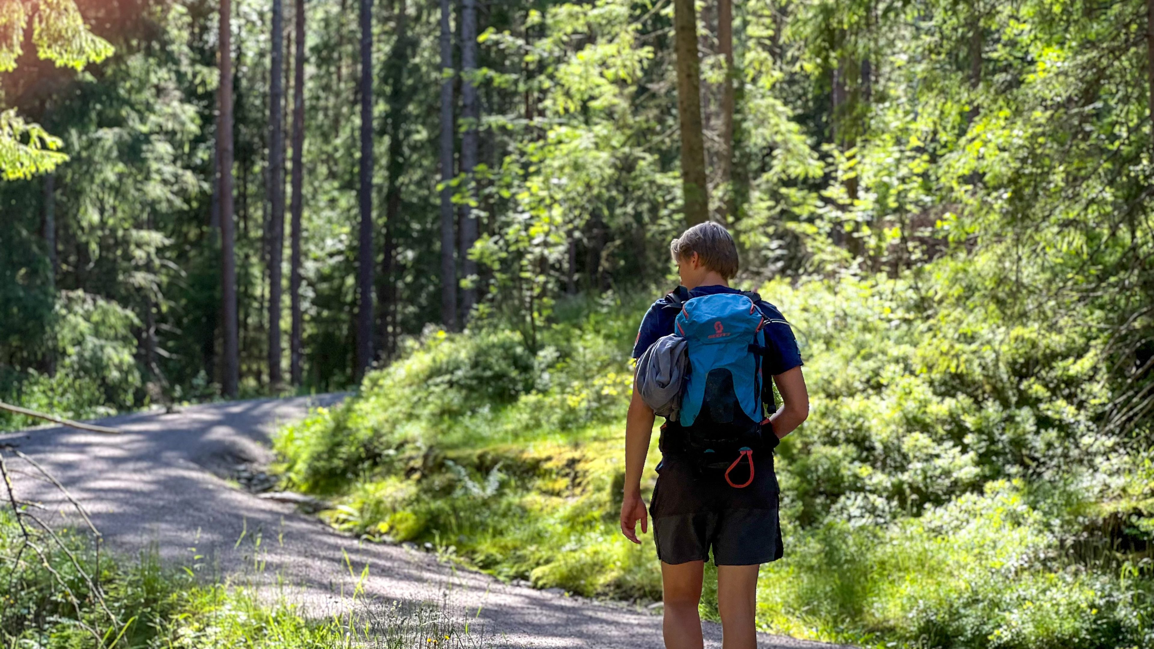 En person med ryggsekk legger ut på en topptur, rusler langs en skogssti på en solfylt dag.