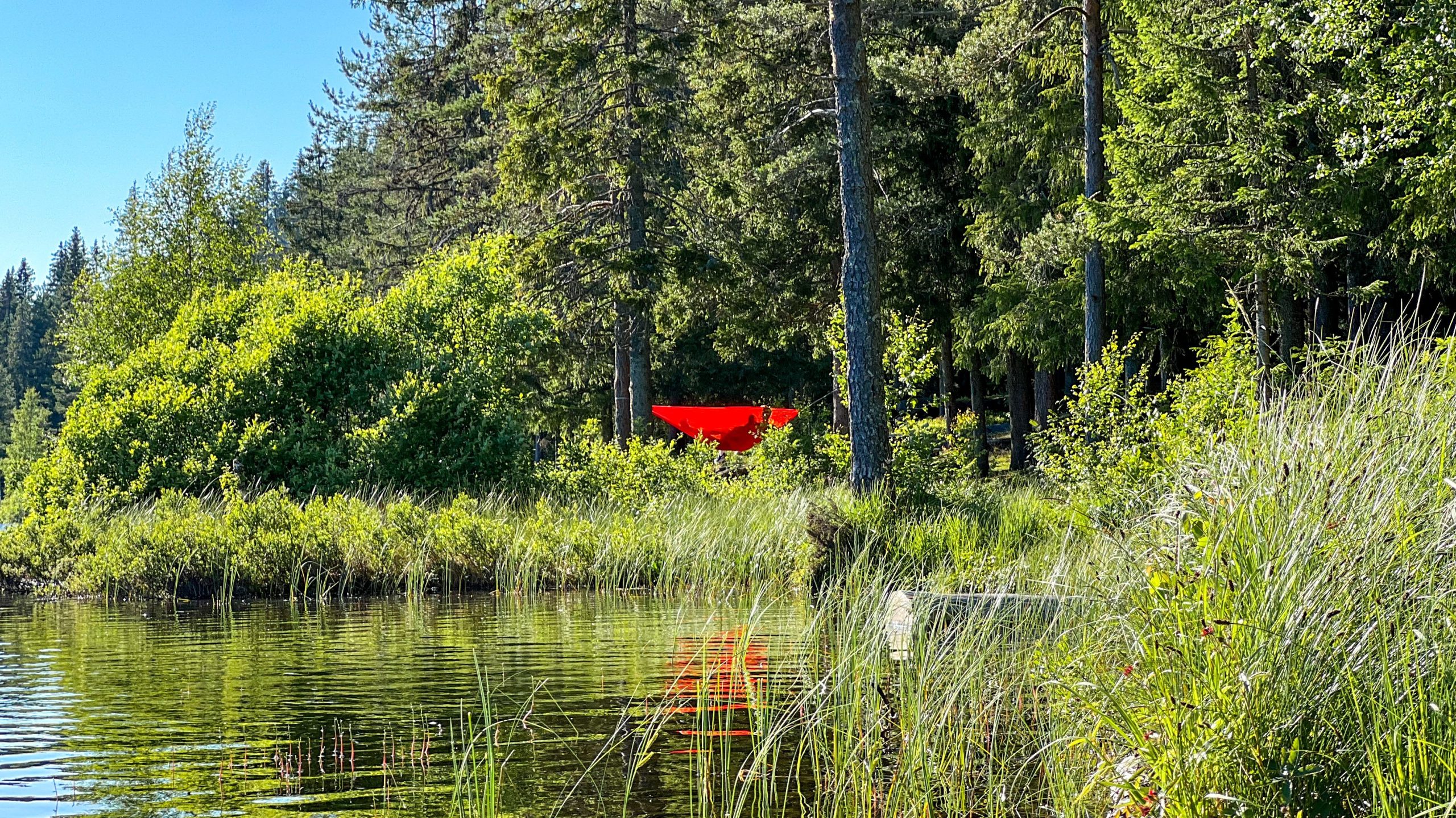En rød kano er delvis synlig gjennom trær og busker langs kanten av en rolig innsjø på en solrik dag, som minner om et rolig topptur-eventyr.