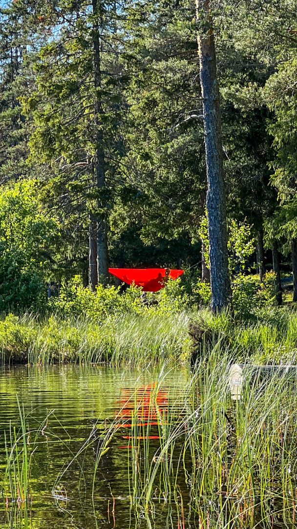 En rød hengekøye er hengt opp mellom to trær ved en innsjø, omgitt av frodig gress og ruvende furu under en klar himmel – et perfekt sted å hvile etter et forfriskende topptur-eventyr.