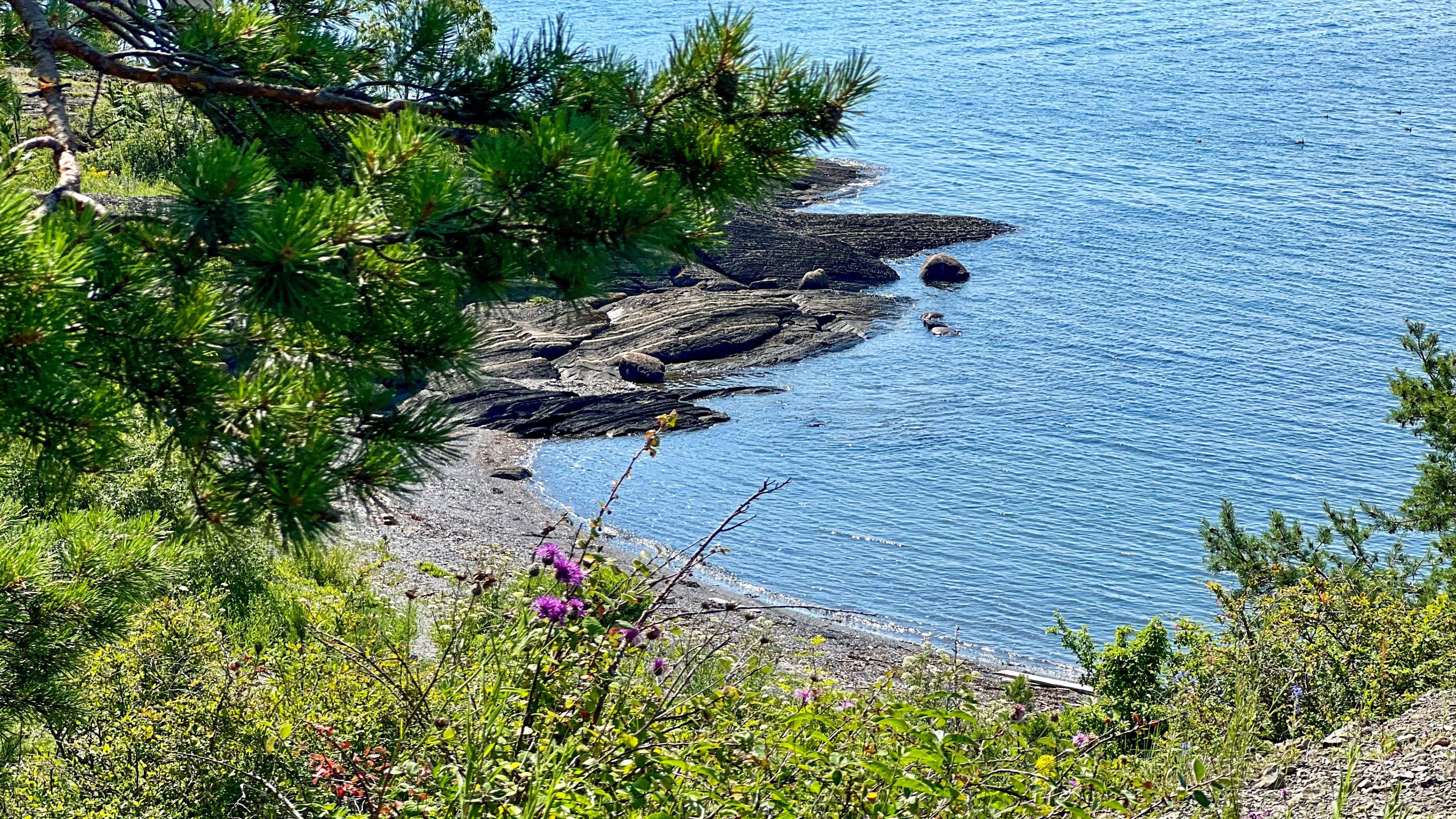 Utsikt fra en åsside med utsikt over en steinete strandlinje og blått hav, perfekt for øyhopping-eventyr, med grønne trær og lilla blomster som gir et levende preg i forgrunnen.