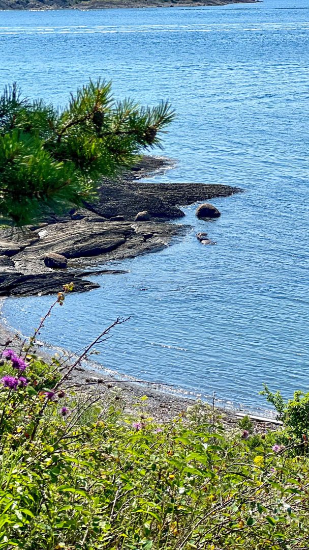 Oppdag en kystscene med klart blått vann og en steinete strandlinje, der grønt løvverk og lilla markblomster maler forgrunnen. Ideell for øyhopping, denne pittoreske omgivelsen inviterer deg til å utforske de skjulte perlene spredt over det rolige vannet.