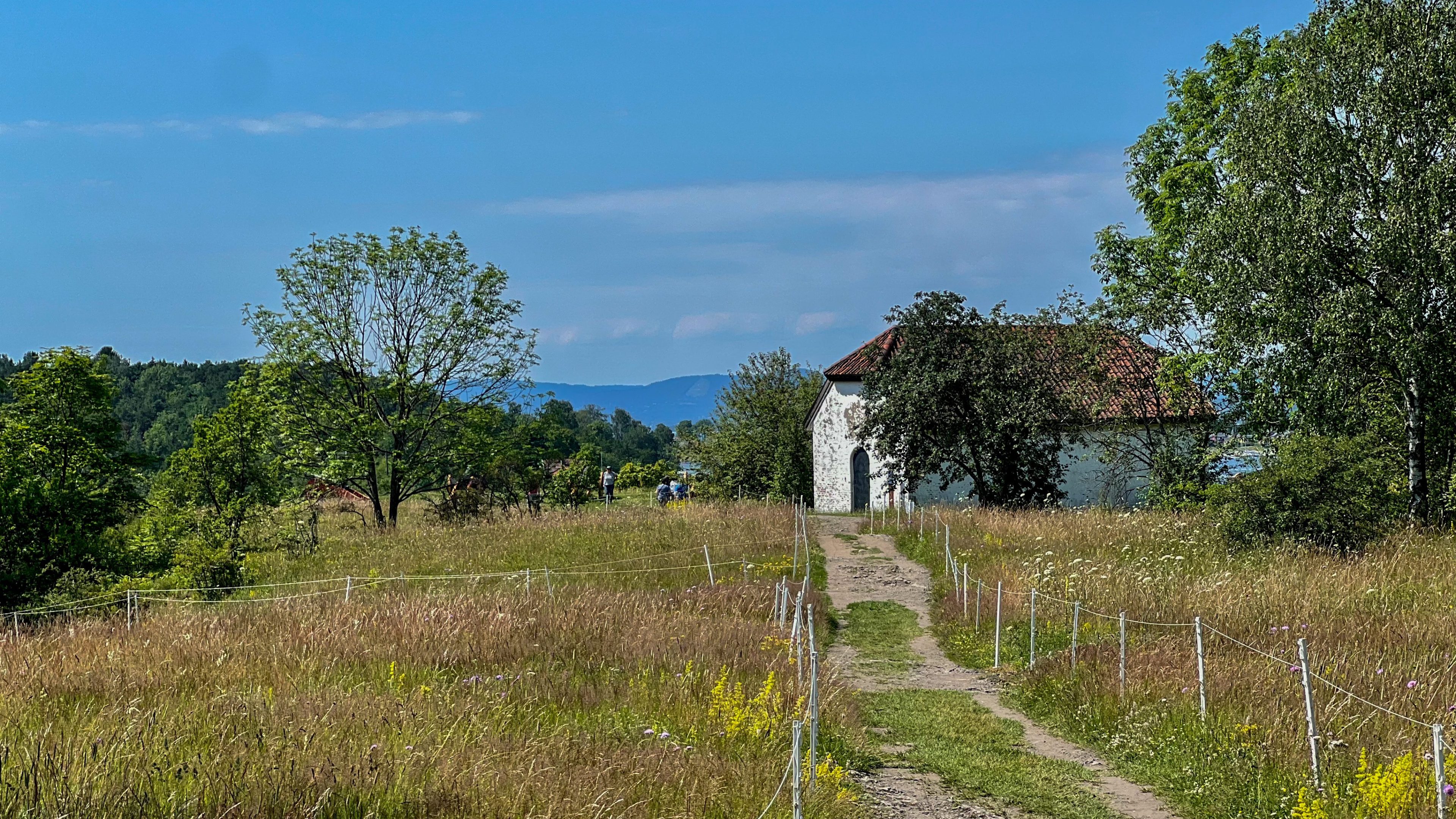 En grussti fører til en liten hvit bygning med rødt tak, omgitt av trær og jorder under en klarblå himmel, som minner om et idyllisk øyhoppeeventyr.
.