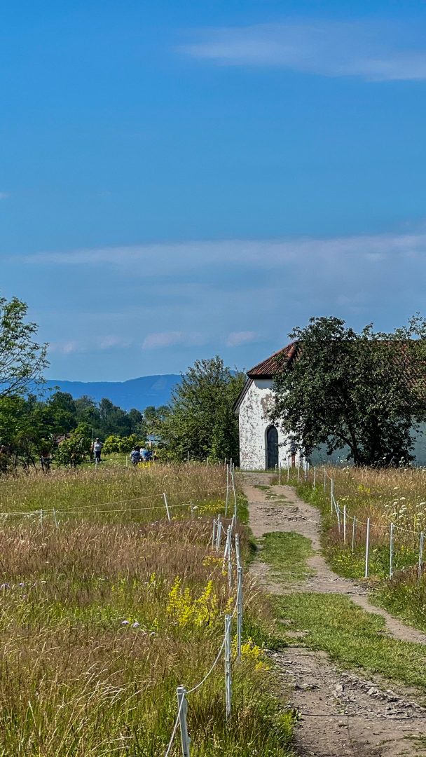 En smal grussti fører til en liten hvit bygning med brunt tak, omgitt av gress og trær under en klarblå himmel. Fjell reiser seg i det fjerne, og deres tilstedeværelse lokker eventyrere til å kombinere dette idylliske landskapet med spenningen ved å hoppe gjennom øykjeder i nærheten.