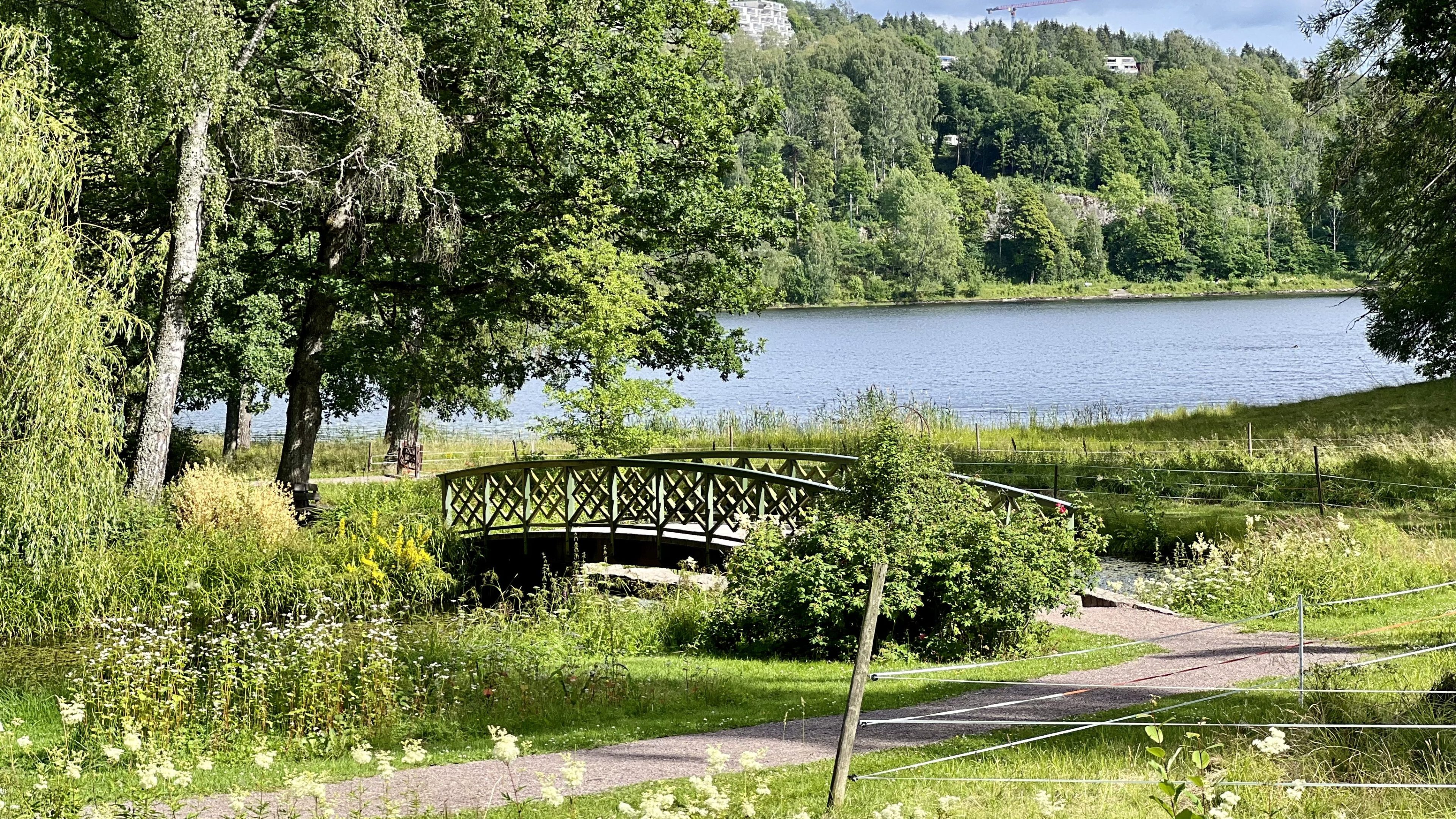 En liten buet bro spenner over en bekk i en frodig, grønn park. Trær og en innsjø er synlige i bakgrunnen, med sykkelstier som slynger seg langs stien som fører til broen.