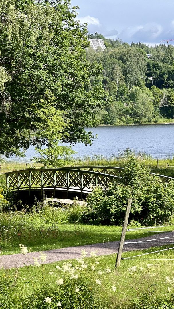 En gangbro i tre over frodige grøntområder med en innsjø i bakgrunnen, omgitt av trær under delvis overskyet himmel, tilbyr en rolig flukt nær populære sykkelstier.