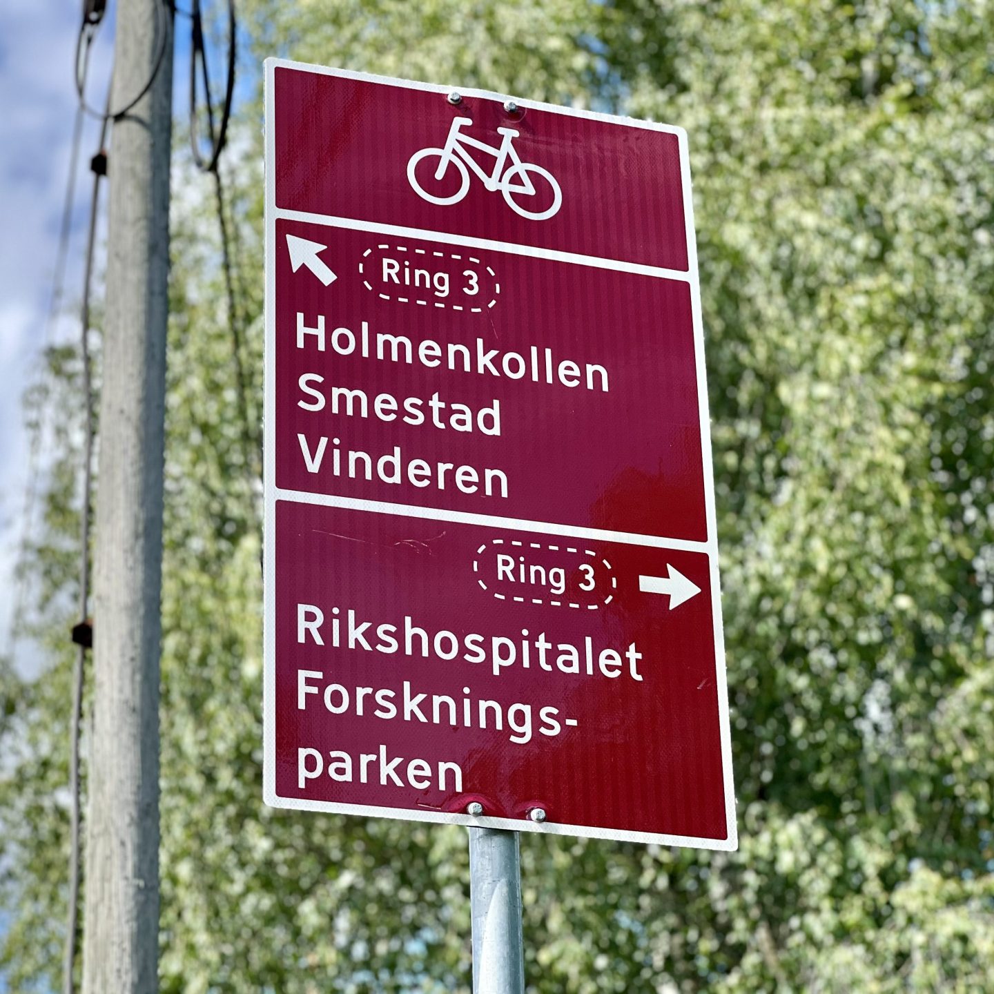 Rødt retningsskilt med hvit tekst veileder globetrottende syklister. Til venstre: Holmenkollen, Smestad Vinderen. Til høyre: Rikshospitalet Forskningsparken. Trær og en verktøystolpe utgjør bakgrunnen.