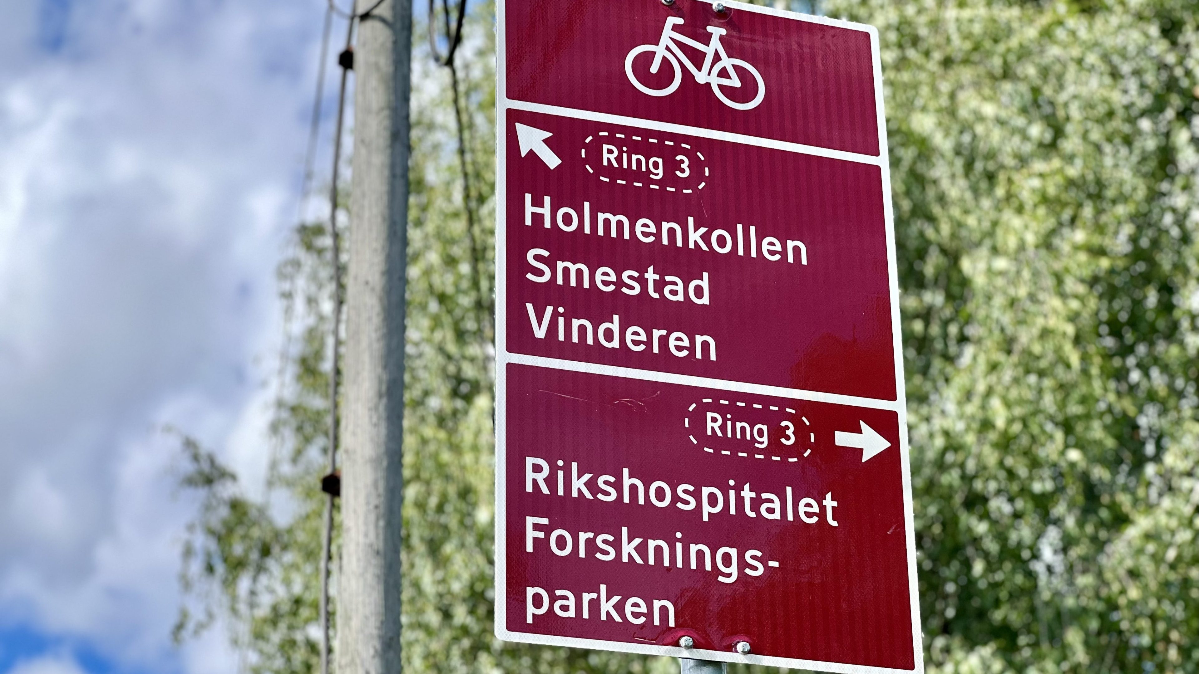 Et sykkelstier-skilt viser syklistene til Holmenkollen, Smestad, Vinderen, Rikshospitalet og Forskningsparken. Himmelen og trærne gir et vakkert bakteppe.