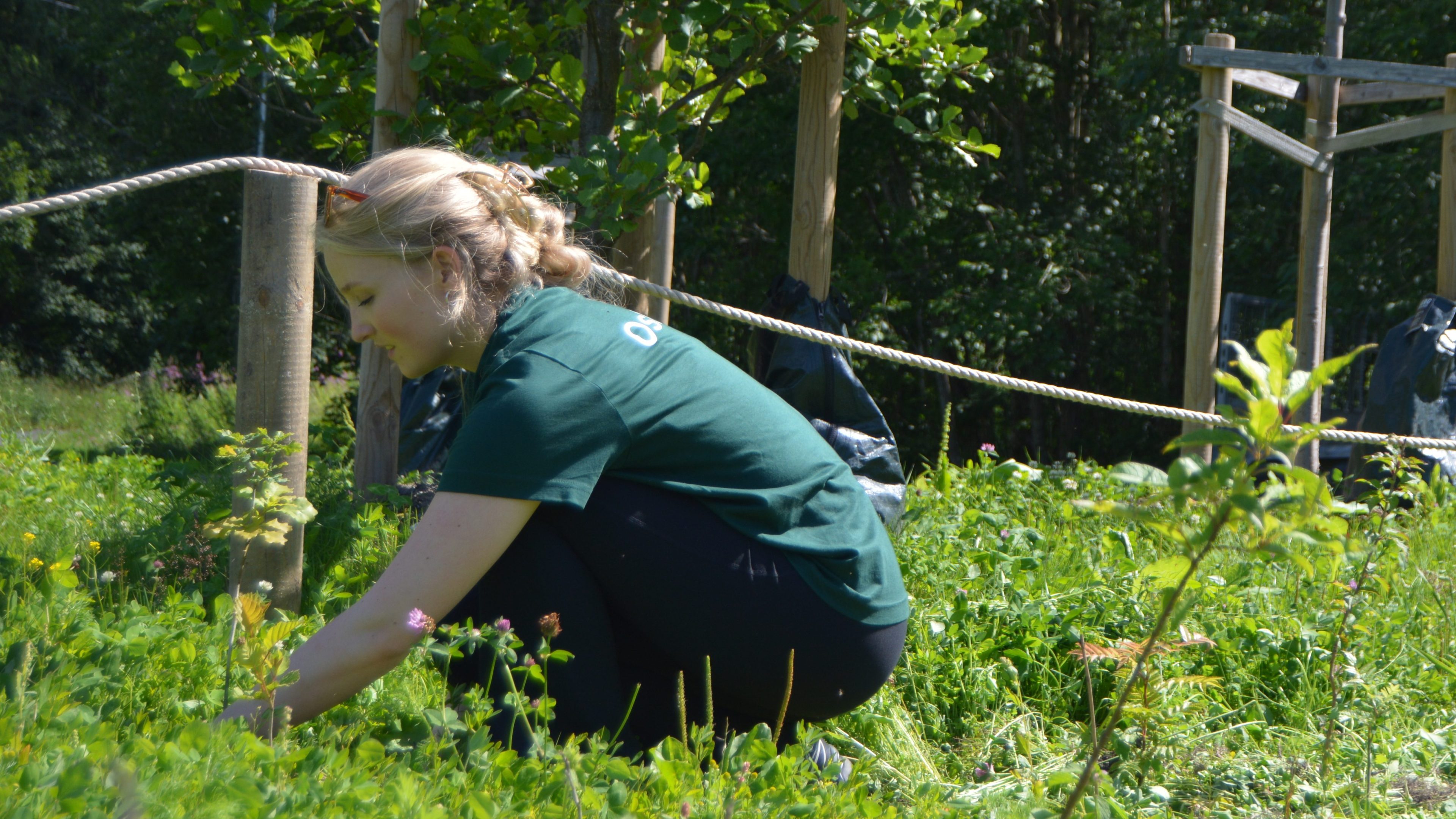 En person huker seg ned og passer på den pulserende hagen midt i frodige grøntområder, omgitt av høye trær og blomstrende planter.
