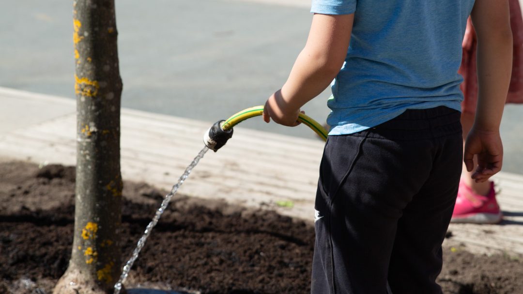 En person som har på seg en blå skjorte og mørke bukser, bruker en hageslange for å vanne et tre på et solfylt uteområde, og pleie trær under den lyse himmelen.