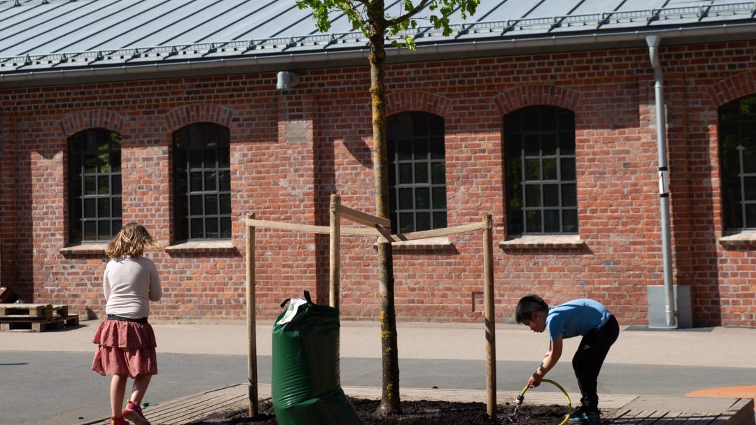 To barn vanner en nyplantet trær, støttet av trestaker, foran en rød mursteinsbygning.