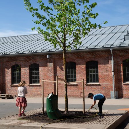 To barn vanner en nyplantet trær omgitt av en trekonstruksjon og mulch foran en murbygning.