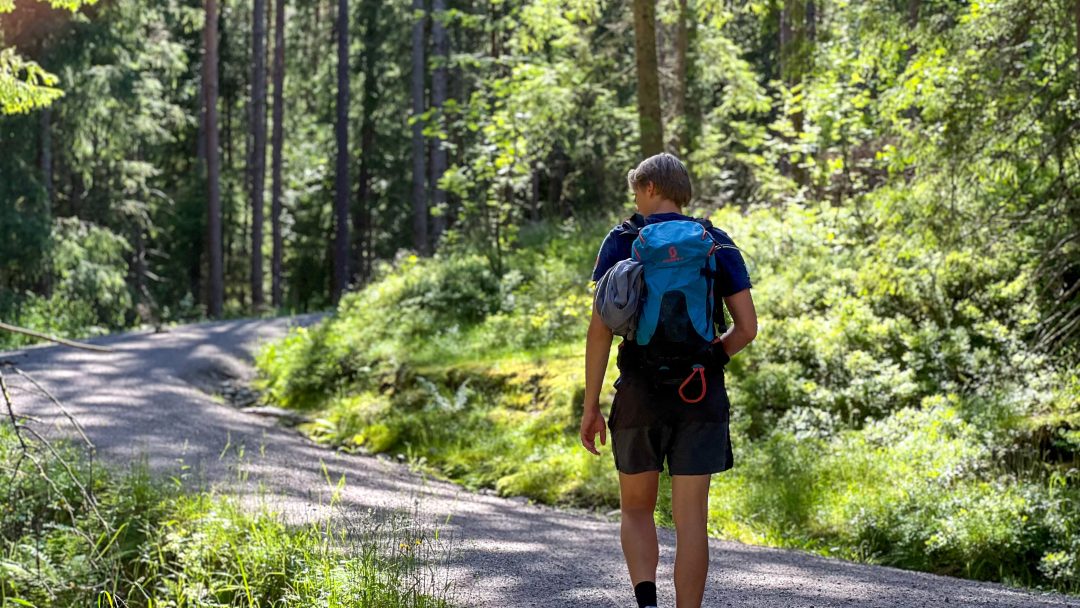 En klager med ryggsekk rusler langs en solbelyst skogssti, omfavnet av høye trær og levende grøntområder.