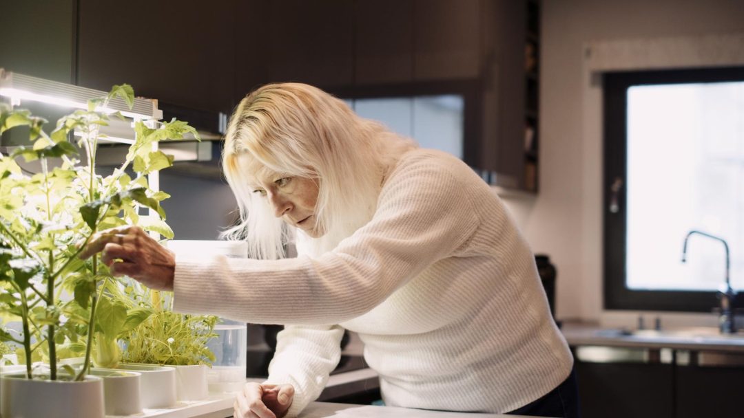 En kvinne pleier å plante innendørs under vekstlys, kjøkkenet hennes er mykt opplyst av den milde varmen. Ved siden av hennes grønne helligdom driver et solcelleanlegg stille det pulserende livet innenfor, og blander sømløst moderne effektivitet med naturlig skjønnhet.