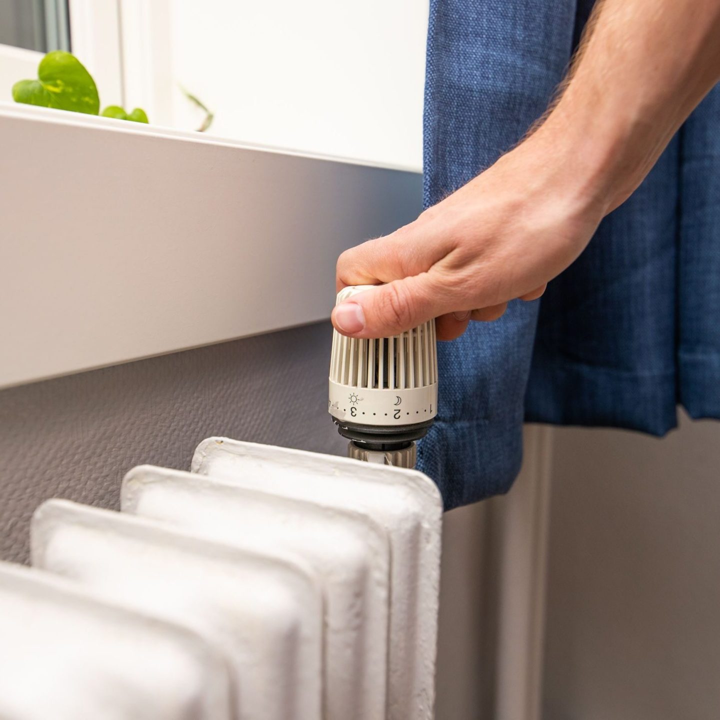 En hånd justerer termostaten på en hvit radiator nær et vindu prydet med en liten plante, mens blå gardiner er delvis synlige. Å inkludere enkle energisparende tips, som å moderere varmeinnstillinger, kan forbedre hjemmets effektivitet.