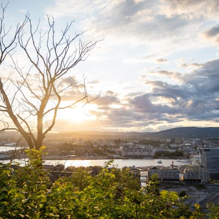 Bybildeutsikt med bart tre i forgrunnen, frodige grøntområder, en elv og bygninger under en overskyet solnedgangshimmel, som fanger den rolige stemningen under en energikonferanse.