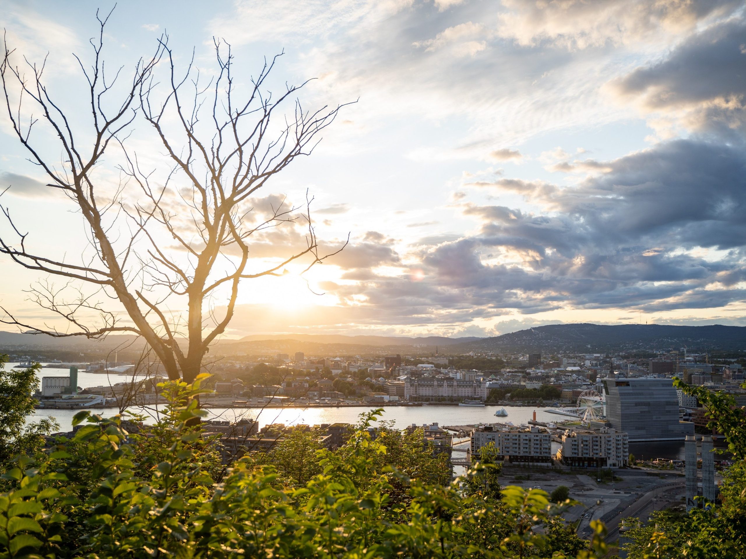 Bybildeutsikt med bart tre i forgrunnen, frodige grøntområder, en elv og bygninger under en overskyet solnedgangshimmel, som fanger den rolige stemningen under en energikonferanse.
