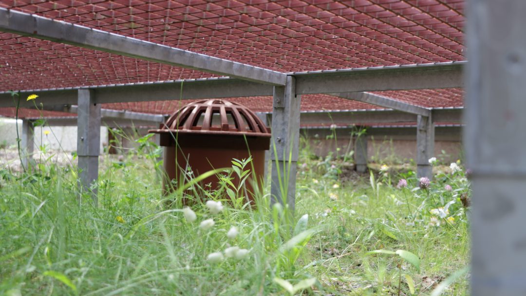 Forhøyet kum ved Voldsløkka skole