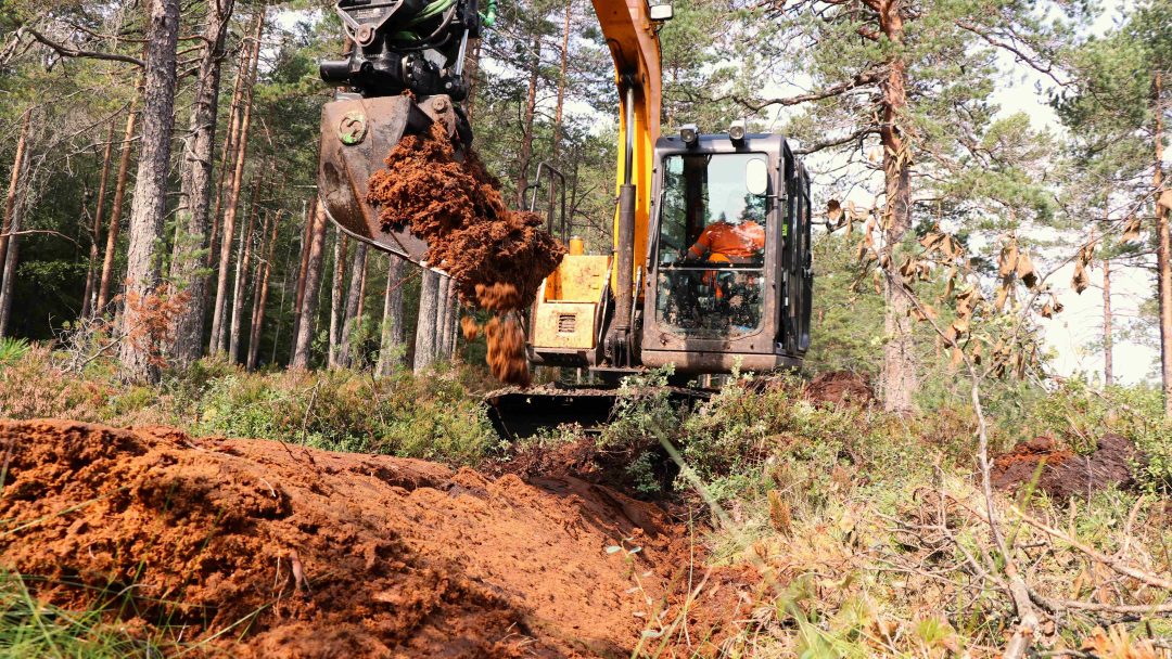 nedbygging av myr: Gravemaskin bygger en voll av torv på en myr i skogen