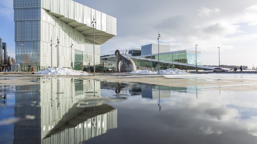 Deichman sett fra en vanndam